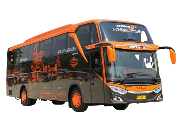 Luxury Bus